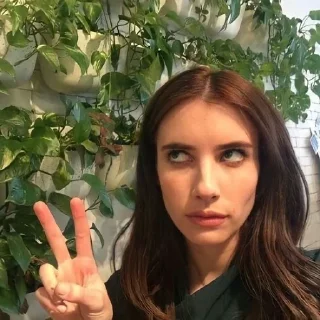 🐸 emoji Эмма Робертс на каждый день Telegram sticker 17 of 34
