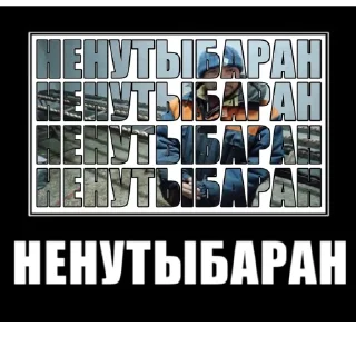 Sticker from ДАРОГУ БАРАНЫ