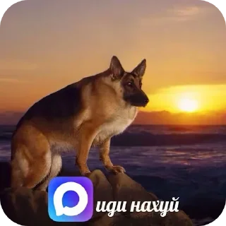 🐶 emoji @CLOOBHUB <- БОЛЬШЕ Telegram sticker 24 of 110