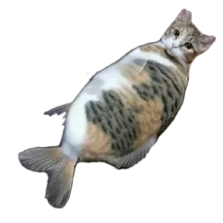 🐱 emoji Добрый Telegram sticker 13 of 18