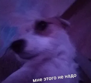 ☺️ emoji ника жопа Telegram sticker 5 of 52