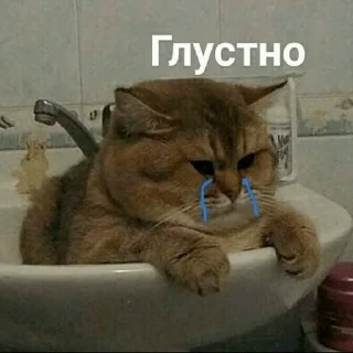 😢 emoji грустно Telegram sticker 11 of 27