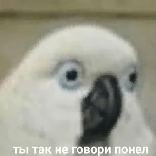 🙈 emoji грустно Telegram sticker 7 of 27