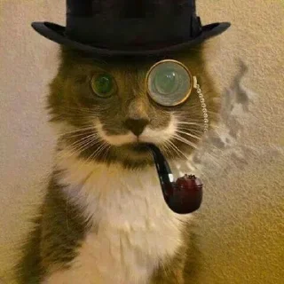 😜 emoji Котяры ➡️ @Ctikerubot Telegram sticker 15 of 63