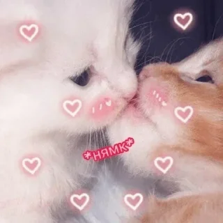 😘 emoji Больше стиков тут: @stikery4 Telegram sticker 23 of 50
