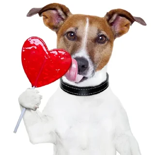 😍 emoji Смешные Акакии Telegram sticker 19 of 29