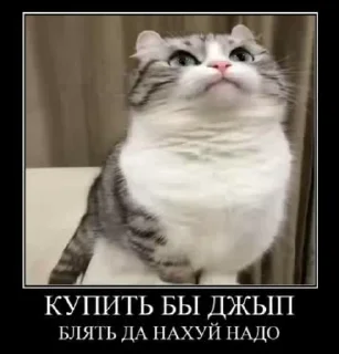 🙈 emoji Камар🥶 Telegram sticker 6 of 52