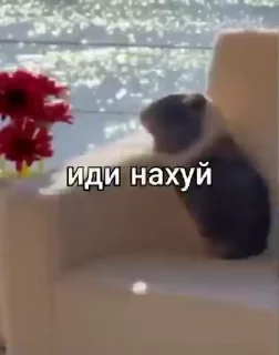Sticker from крутои мак