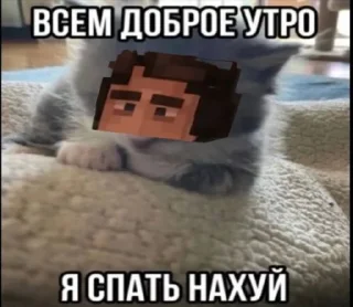 😭 emoji Dissegi Mem ➡️ @Ctikerubot Telegram sticker 5 of 25