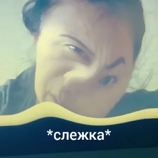 🫥 emoji Гульнарчик и ее тима Telegram sticker 7 of 40