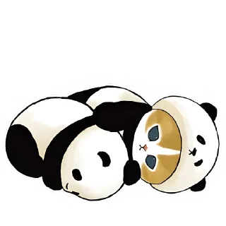 😴 emoji Панда и котик @TgSticker Telegram sticker 18 of 40