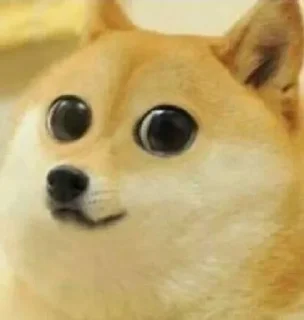 ☺️ emoji Doge Telegram sticker 18 of 46