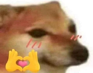🤭 emoji doge doge gooo Telegram sticker 12 of 55