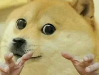 👐 emoji Doge Telegram sticker 10 of 46