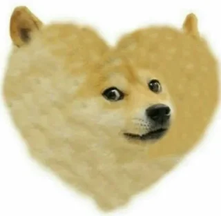🧡 emoji Doge Telegram sticker 12 of 46