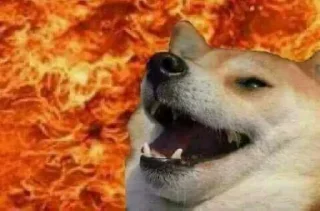 🔥 emoji doge doge gooo Telegram sticker 13 of 55