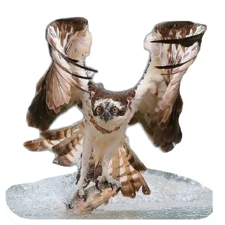 🏖 emoji Скопа//для Рп и тд Telegram sticker 2 of 56