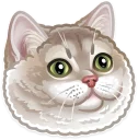 🐱 emoji Just zoo it! Telegram sticker 16 of 50