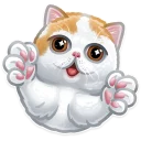 🐱 emoji Just zoo it! Telegram sticker 11 of 50
