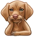 🐶 emoji Just zoo it! Telegram sticker 8 of 50