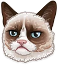 🐱 emoji Just zoo it! Telegram sticker 9 of 50