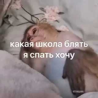 😩 emoji БИБИЗЯНЫ Telegram sticker 13 of 120