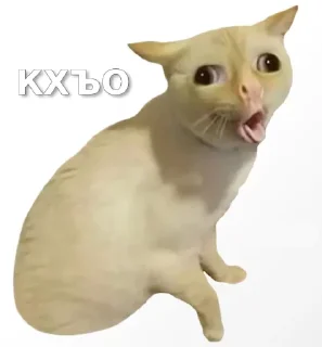 😵‍💫 emoji Вахуе Telegram sticker 12 of 80