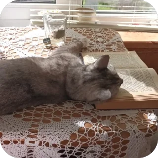 🫥 emoji Стики босса художки Telegram sticker 20 of 107