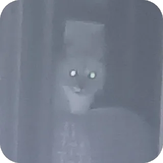 🫥 emoji Стики босса художки Telegram sticker 24 of 107