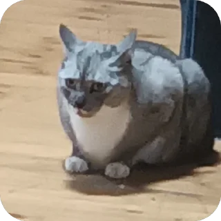🫥 emoji Стики босса художки Telegram sticker 14 of 107