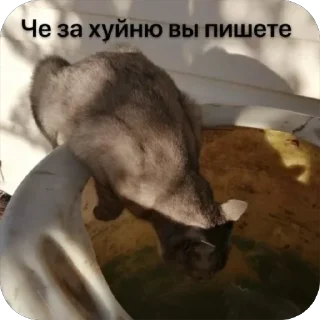 🤡 emoji Стики босса художки Telegram sticker 8 of 107