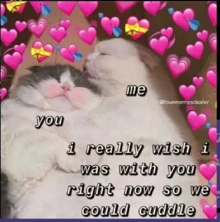 🙈 emoji Bitch Telegram sticker 23 of 116