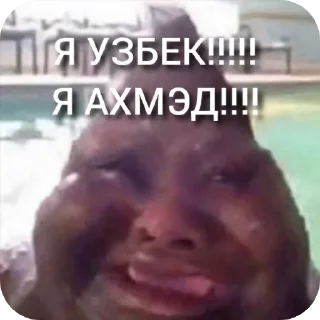 🤡 emoji За фурри! (Не всех но многих) Telegram sticker 11 of 15