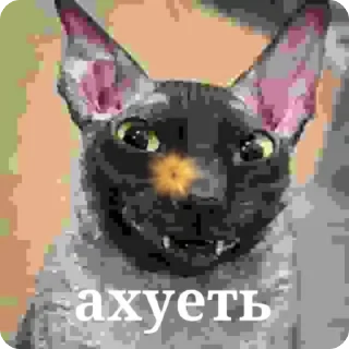 🙀 emoji Иди нахуй сын псины бешеной Telegram sticker 7 of 45
