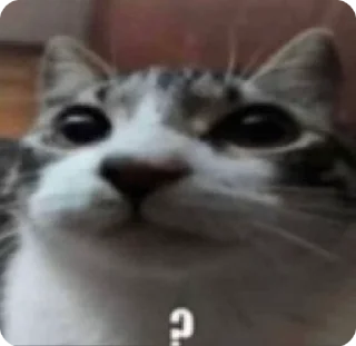 ❔ emoji Иди нахуй сын псины бешеной Telegram sticker 8 of 45