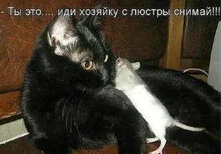 🌟 emoji Транзиты и марсик❤ Telegram sticker 24 of 120