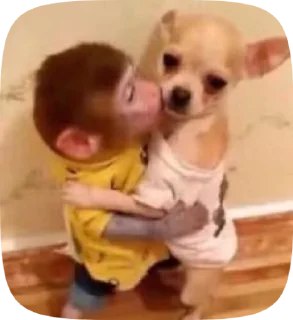 🙈 emoji бибизянтусы мари Telegram sticker 16 of 43