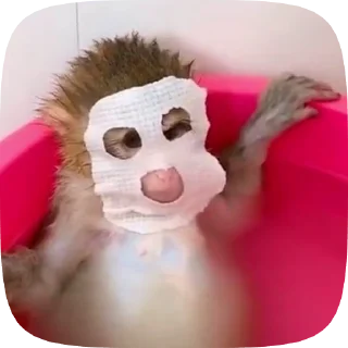 🙈 emoji бибизянтусы мари Telegram sticker 11 of 43