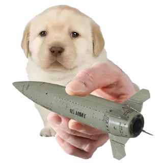 🚀 emoji Friendly nationalist Telegram sticker 24 of 45