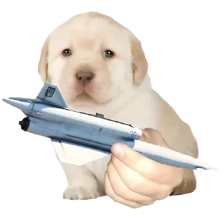 ✈️ emoji Friendly nationalist Telegram sticker 10 of 45
