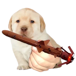 🔱 emoji Friendly nationalist Telegram sticker 14 of 45