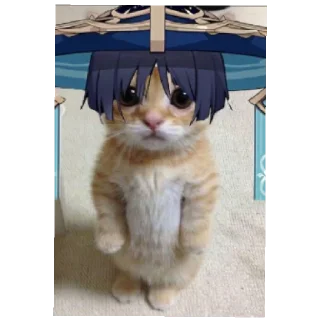 😇 emoji Я ПИДОРАС Telegram sticker 19 of 37