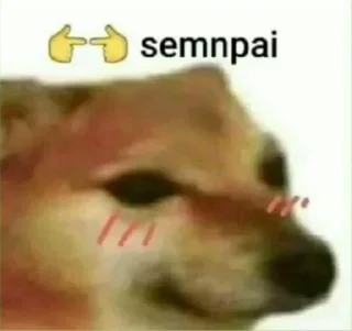 🌟 emoji Еще стикеры - @The_Packo Telegram sticker 9 of 116