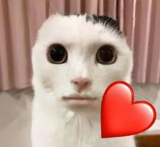 ❤️ emoji 011(2) Telegram sticker 16 of 26