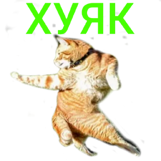 Sticker from Палата