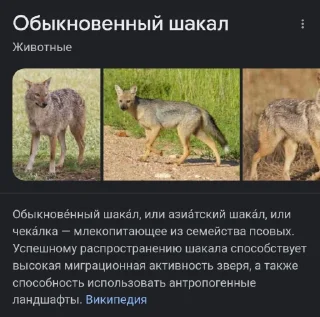 👎 emoji Стикерпак Тедла Telegram sticker 12 of 18
