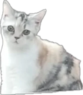 😐 emoji мемесы Telegram sticker 5 of 26