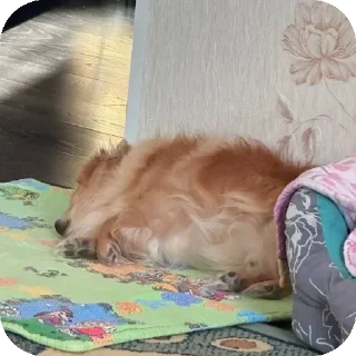 😵 emoji капитан Степан Telegram sticker 5 of 38