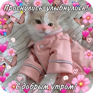 🔥 emoji От Саши ду-сн🌅🌃 Telegram sticker 6 of 18