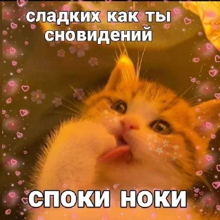Sticker from Добр утр спк ночи!<3